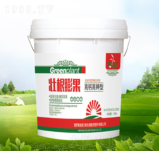 ���}����͉Ѹ����-������