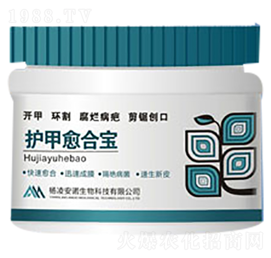 �o(h��)�����ό�-���Z����