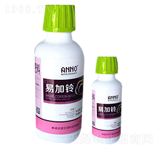 �׼��-���Z����