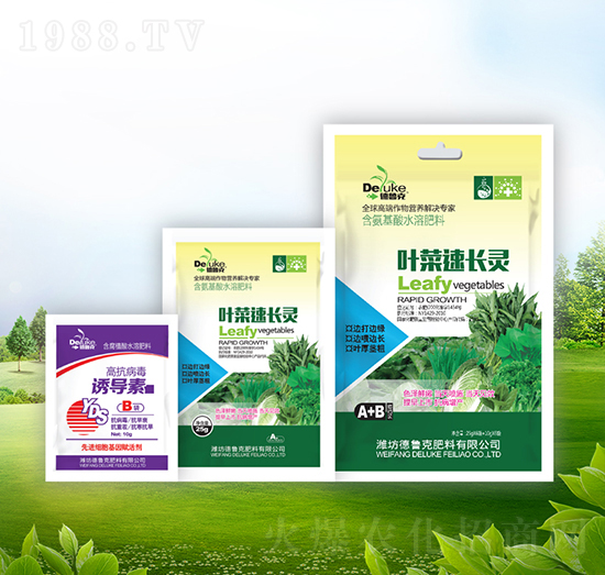 �~�����L�`+�T��(d��o)��-������