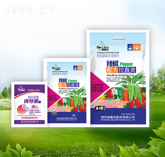 ���������ֱ�`+�T��(d��o)��-������