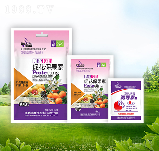 �����ڷ۴ٻ�������+�T��(d��o)��-������