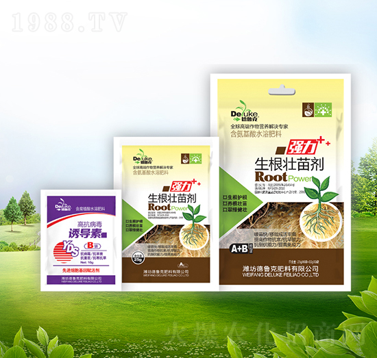 �������焩+�T��(d��o)��-������