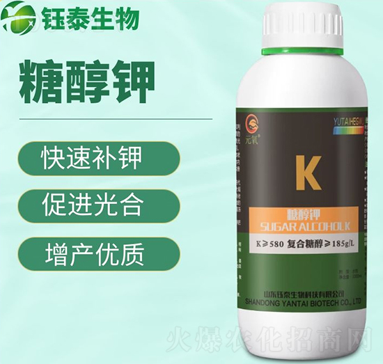 �Ǵ��-�̩����