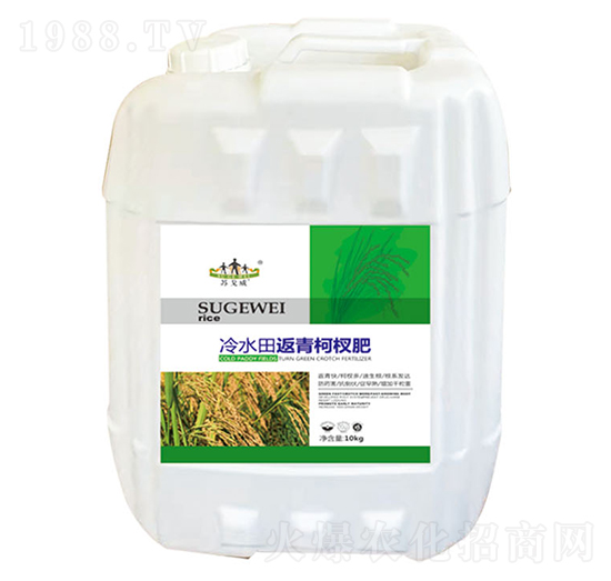 冷水田返青柯杈肥-山東炬懷生物