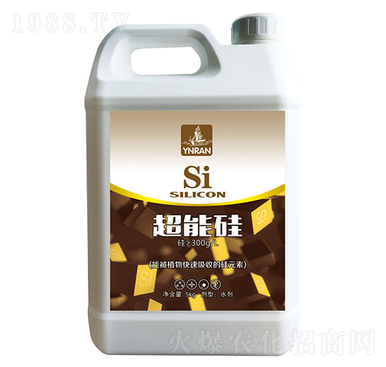 ���ܹ�-ɽ�|�������