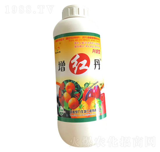 ���t��-�G��