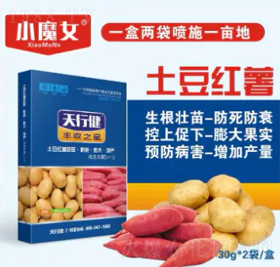 ʿ���t��-���н�