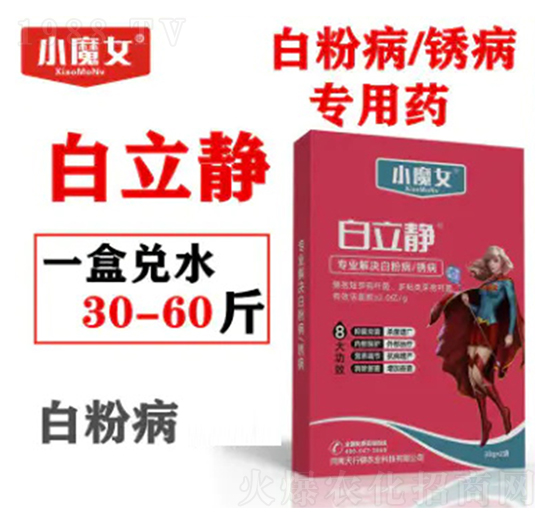 �׷۲����P������ˎ-�����o-СħŮ-���н�