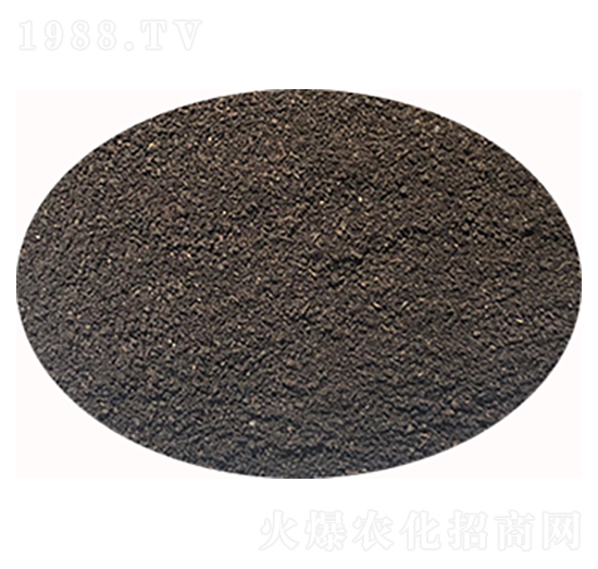 �۠������ЙC��-ϲ��������