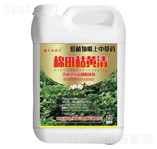 ������S��-����t��Ԫ