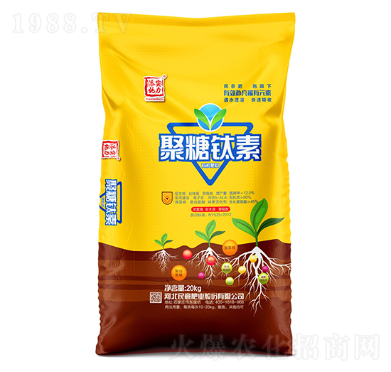 �������-����ʘI(y��)