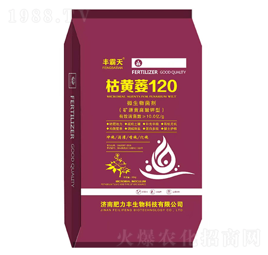 ���Sή120-�S����-�����S