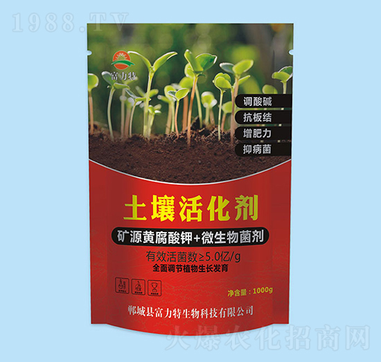 �������-������