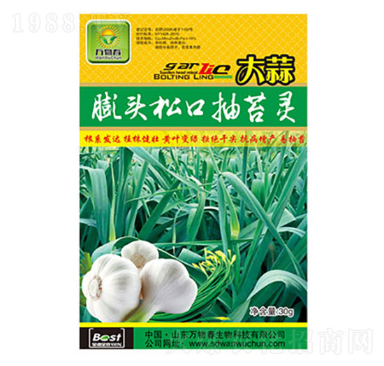 �������^�ɿڳ�̦�`-�f�ﴺ