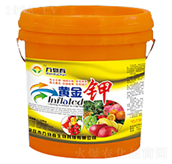 �S���-�f(w��n)�ﴺ