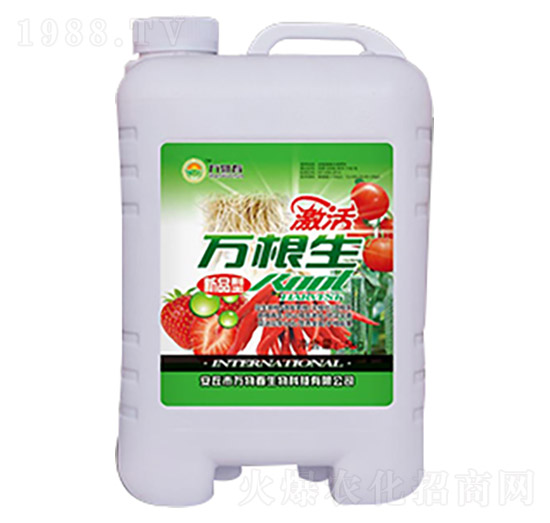 ��ݮ�����f(w��n)����-�f(w��n)�ﴺ