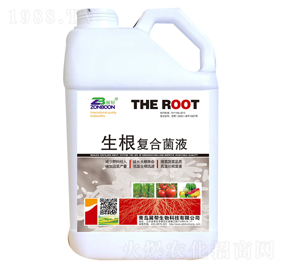 �����ͺ˾�Һ-չ��