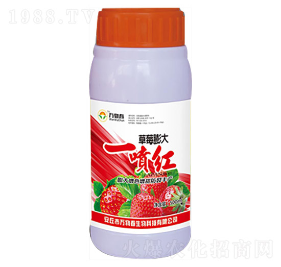 500ml��ݮ���һ���t-�f(w��n)�ﴺ