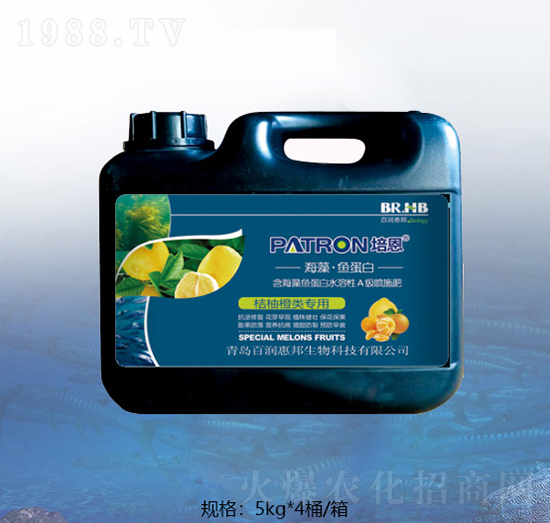 ������ٺ����~(y��)����-�ٝ�(r��n)�ݰ�