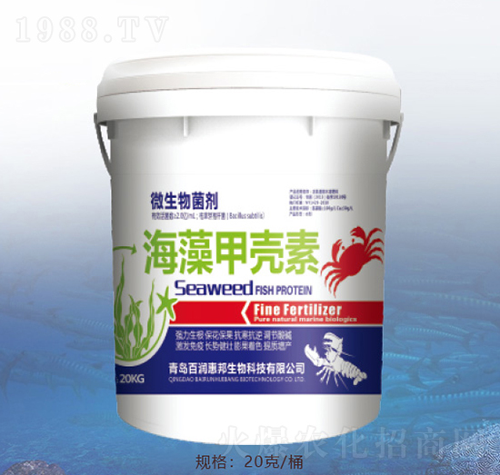 ����ך���-�ٝ��ݰ�