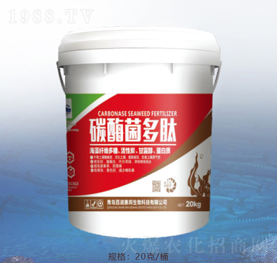 ̼ø������-�ٝ��ݰ�