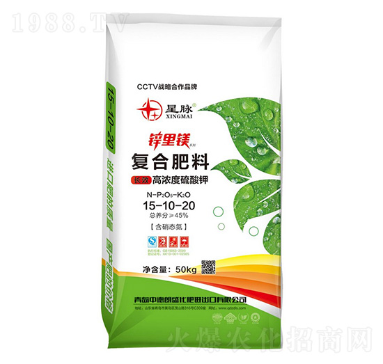 �ߝ������⛏�(f��)�Ϸ���15-10-20-�\���V-�е���ʢ