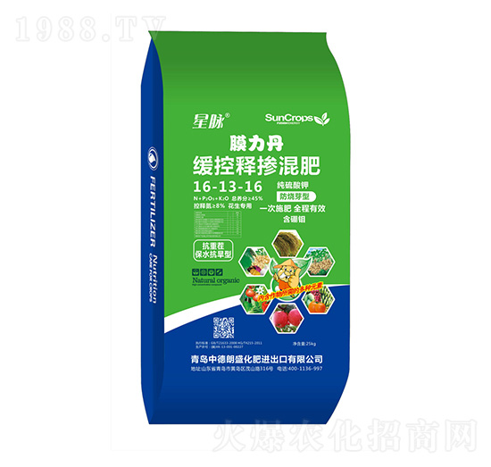 �������ü�����⛷���ѿ�;���ጓ����16-13-16-Ĥ����-�е���ʢ