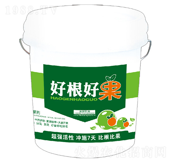 �ø��ù�-�º���