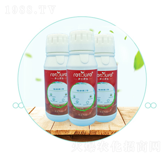 �V�GԴ-��������