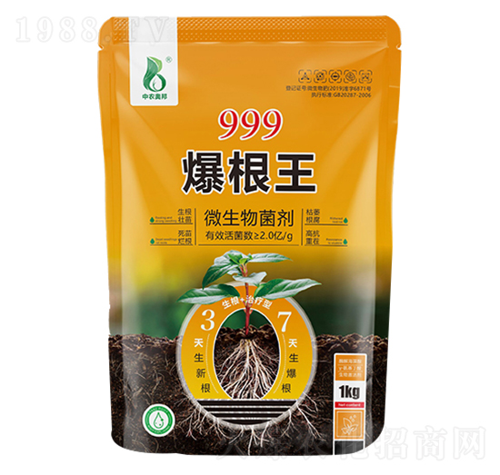 999������-���r(n��ng)�W��