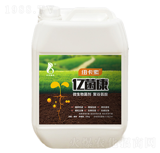 ΢�������-�|����-�~����-���r�W��