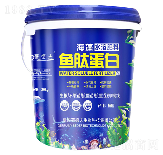 �~�ĵ���-�����S