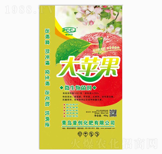 ���O(p��ng)��΢�������-�Մ�(chu��ng)