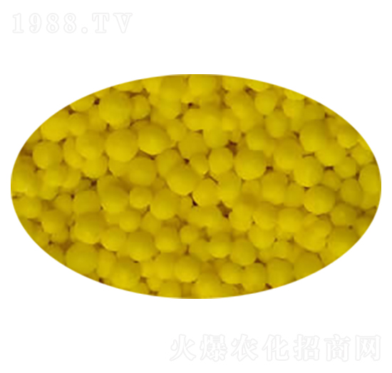 ���������-��ʩ��