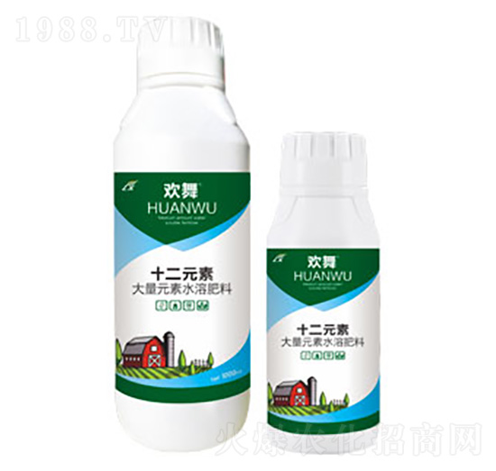 ʮ��Ԫ��-�g��-�B������