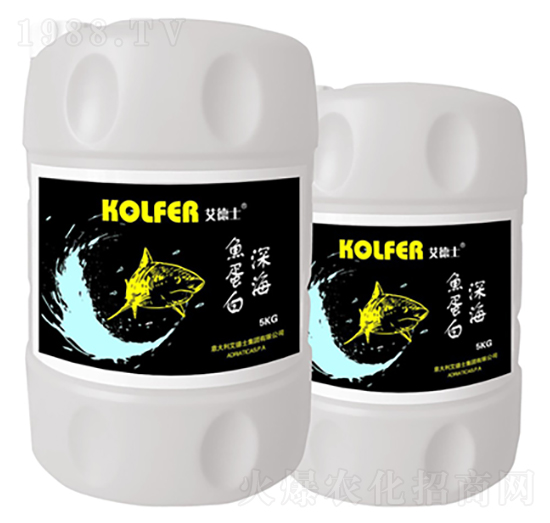 ��~����-����ʿ