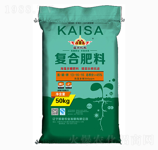 �ͺϷ���13-16-16-ʢ���P��