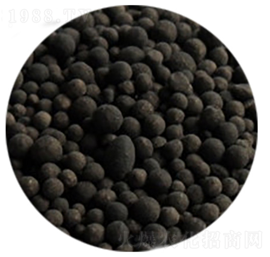 �����ЙC(j��)�ʴ��w��-�����S