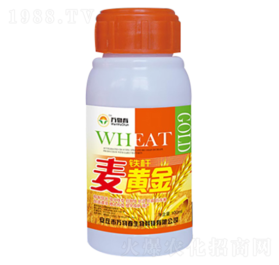 100ml�F�U���S��-�f(w��n)�ﴺ