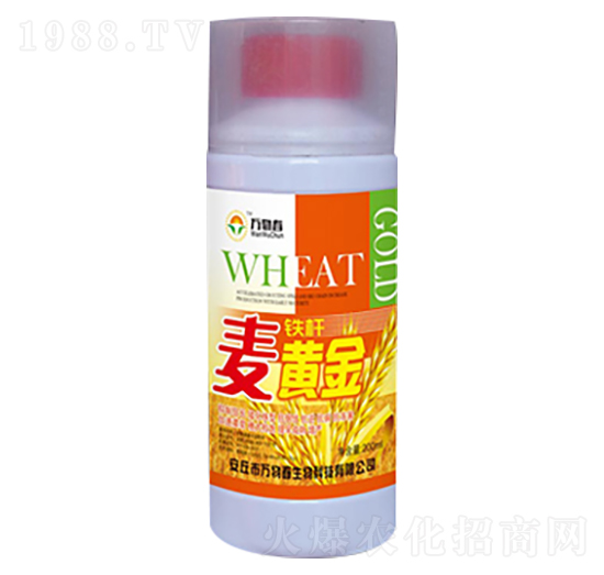 200ml�F�U���S��-�f�ﴺ