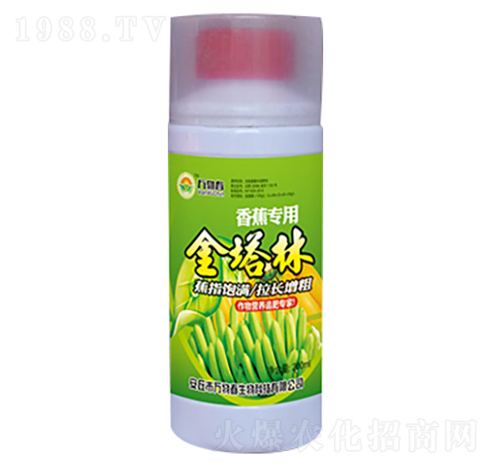 香蕉金塔林-萬物春