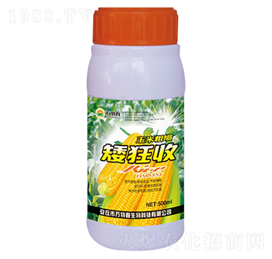 500ml���״ֿs������-�f�ﴺ
