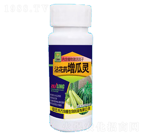 �����`մ��ˎ-�f�ﴺ