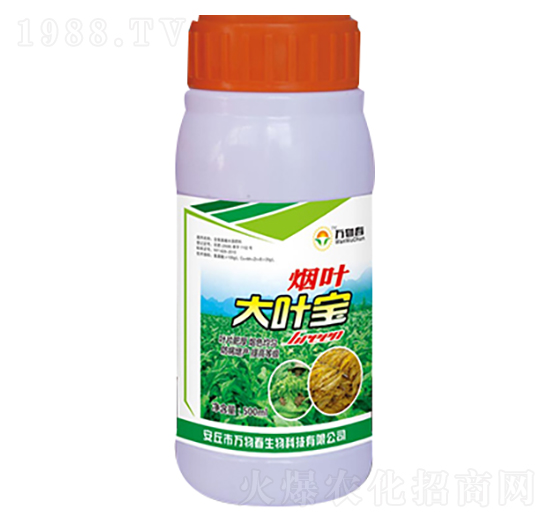 500ml���~���~��-�f�ﴺ