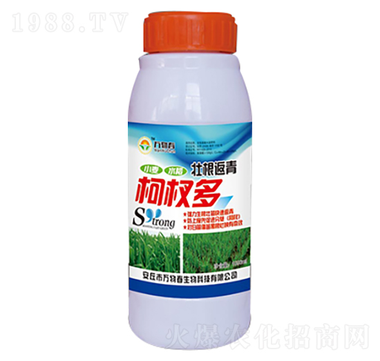 1000ml�Ѹ������辶�-�f(w��n)�ﴺ