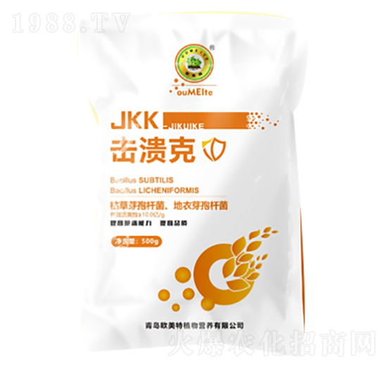 ������-�W����