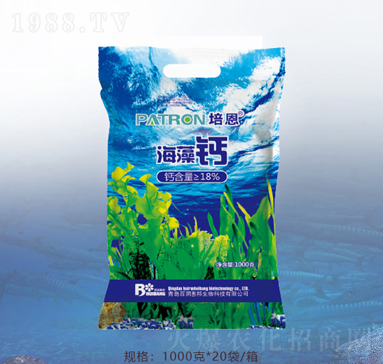 1000�˺����}-�ٝ��ݰ�