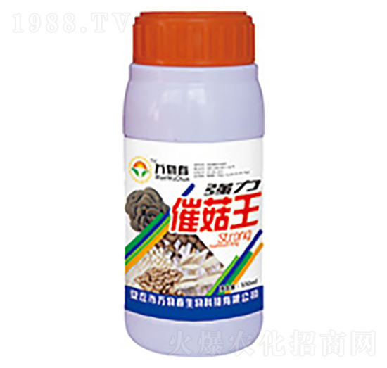 ��(qi��ng)���߹���-�f�ﴺ