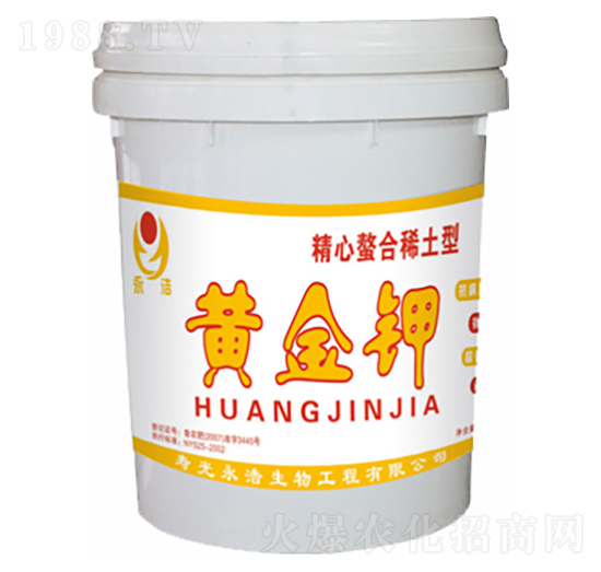 ��������ϡ�����S���-��������